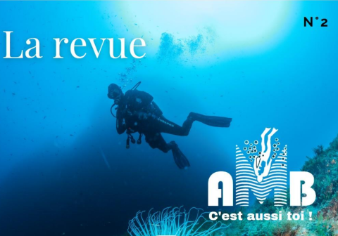 La revue n°2