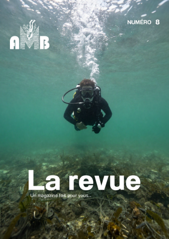 1ère Page du journal